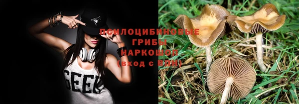 ALPHA-PVP Алексеевка