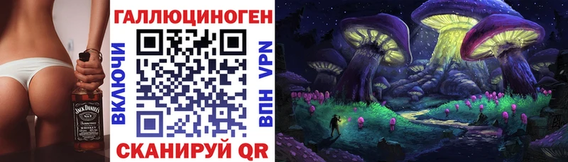 Псилоцибиновые грибы мицелий Карачев